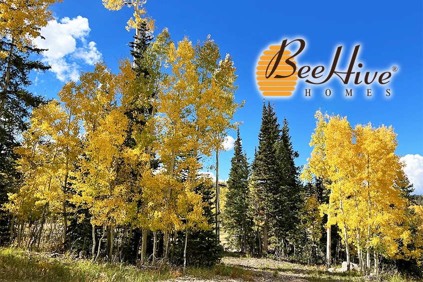 Fall Colors at BeeHive Homes of Texas Assisted Living